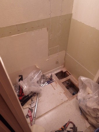 11 IMGP5749-e1740719095849